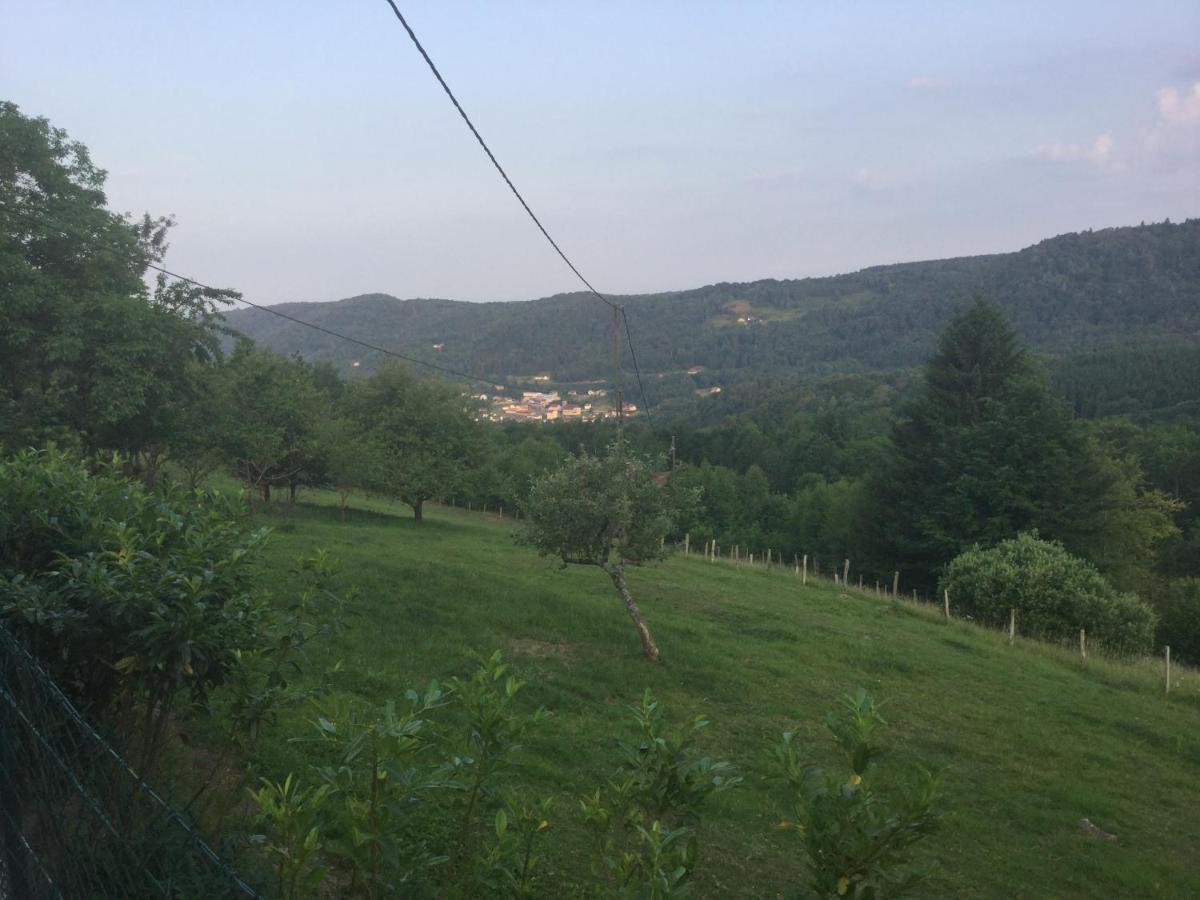 La Ferme de Là-haut B&B Le Haut-du-Them Esterno foto